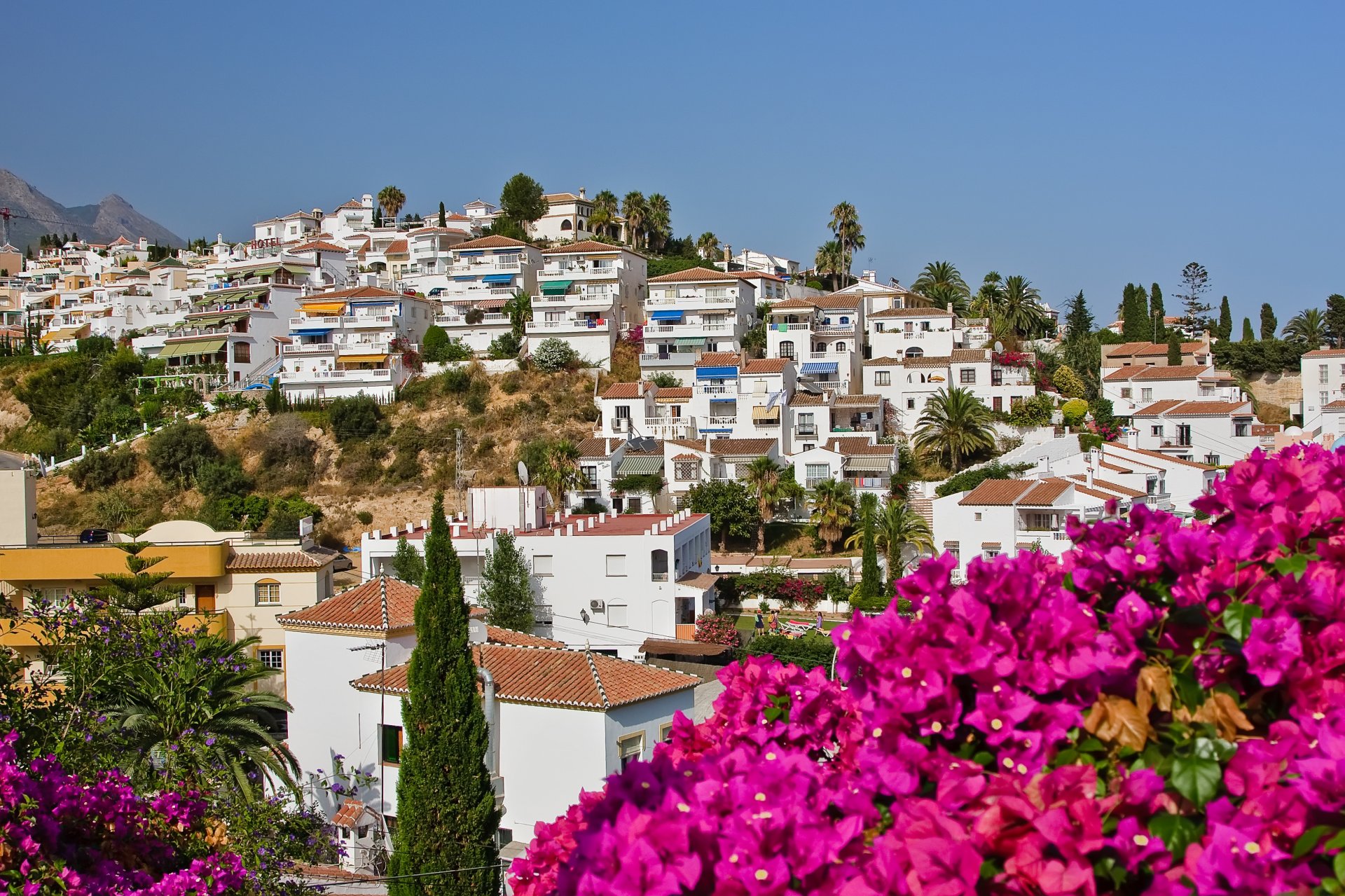 spanische landschaft nerja spanien blumen häuser himmel palmen bäume natur stadt bäume