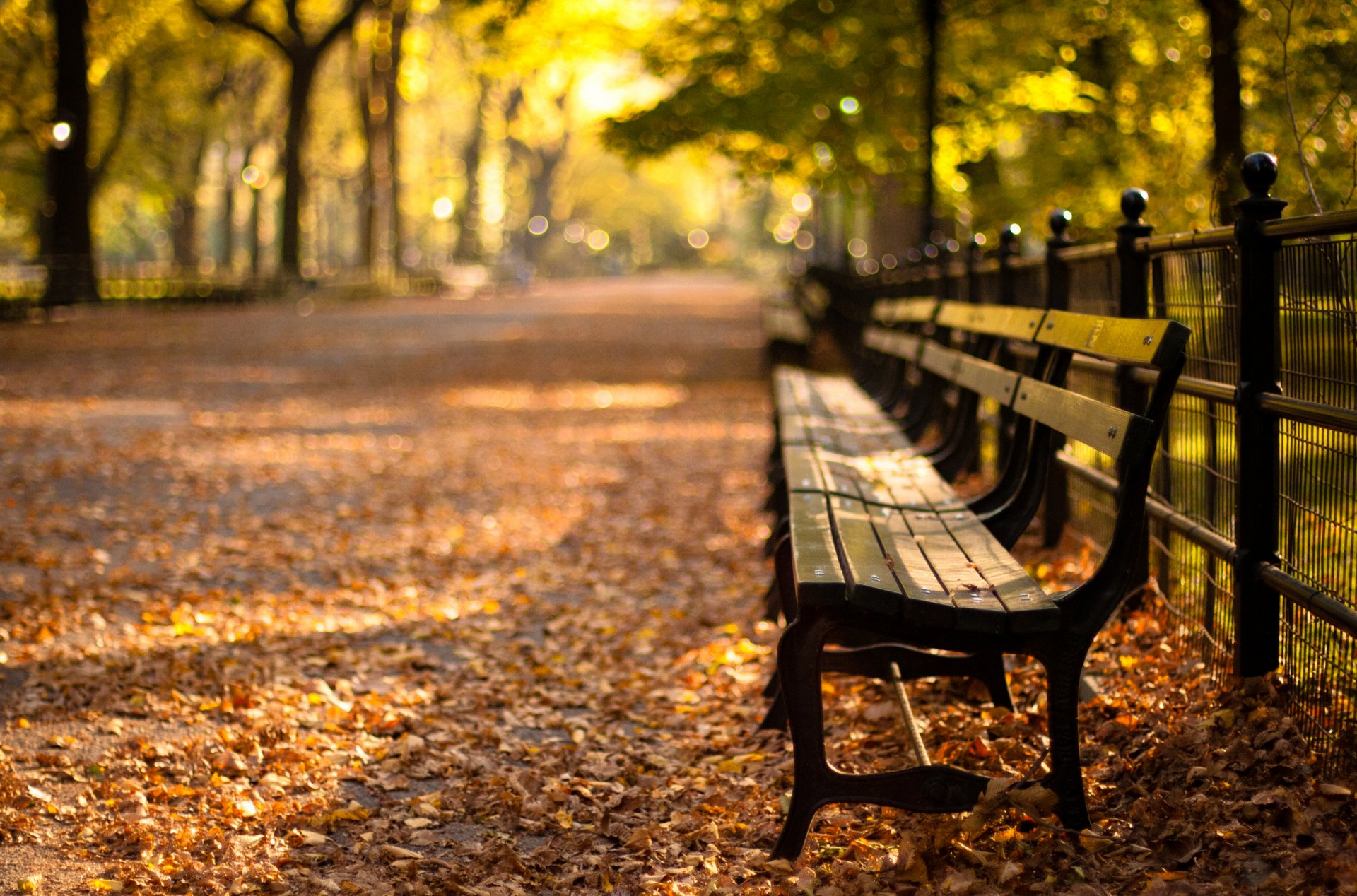 central park new york city herbst sonnenuntergang park