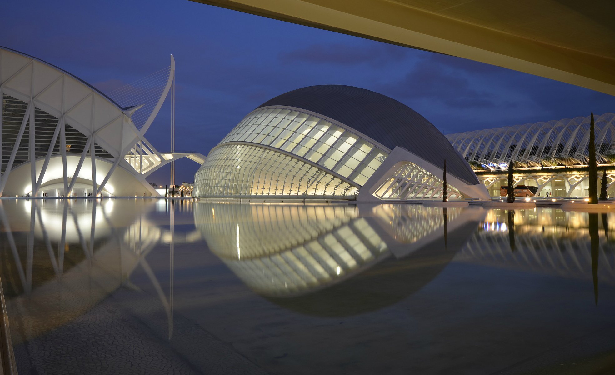 pain valencia city of arts and sciences architectural complex lighting tree night blue sky