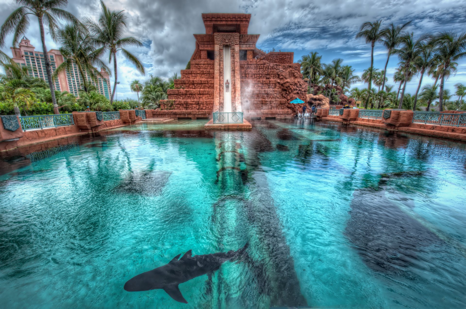 nassau bahamas atlantis hotel palm pool shark