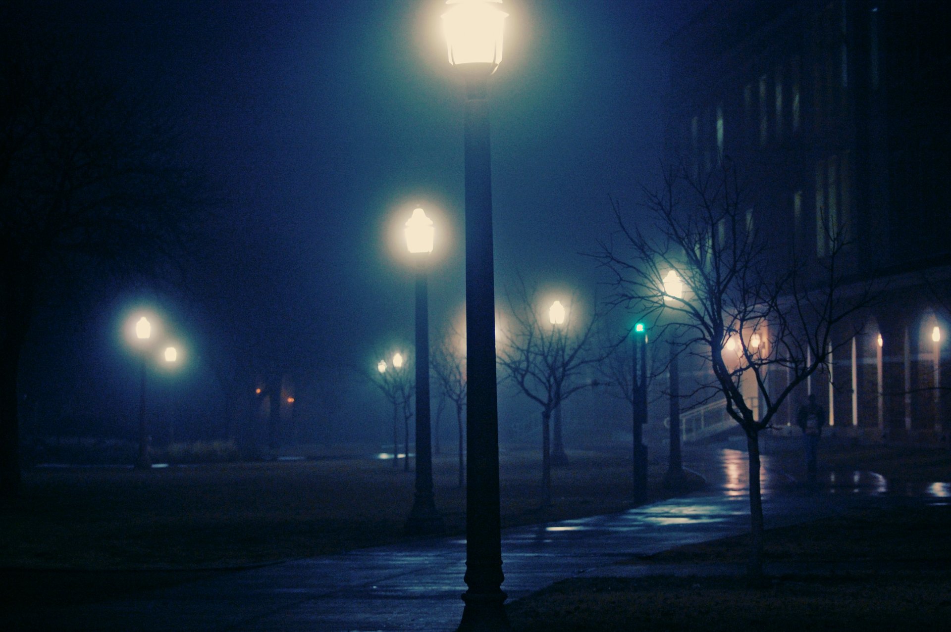 ville nuit brouillard lumières brumeux
