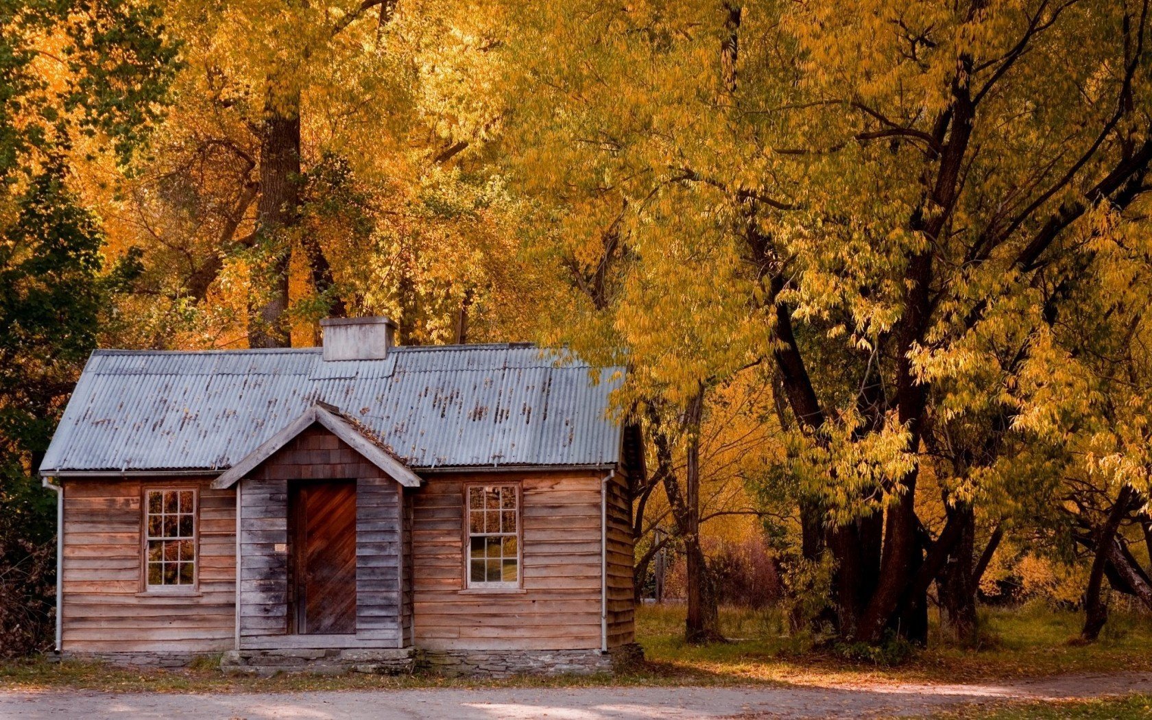 casa strada autunno foglie