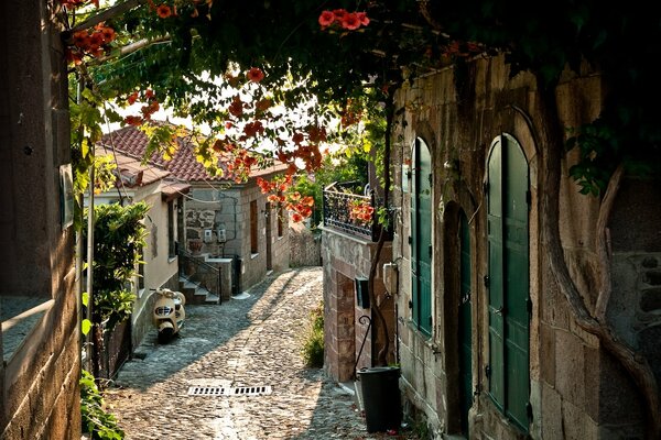 Pavement of France mysterious lane