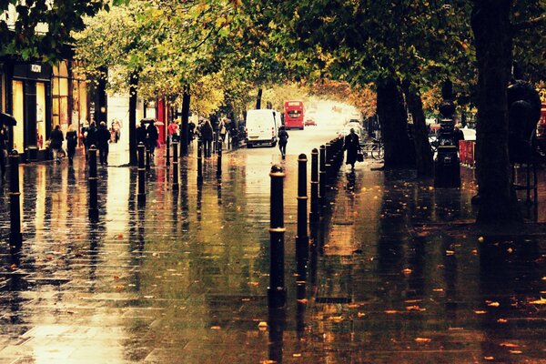 In the city, a real rainy autumn has come on the street