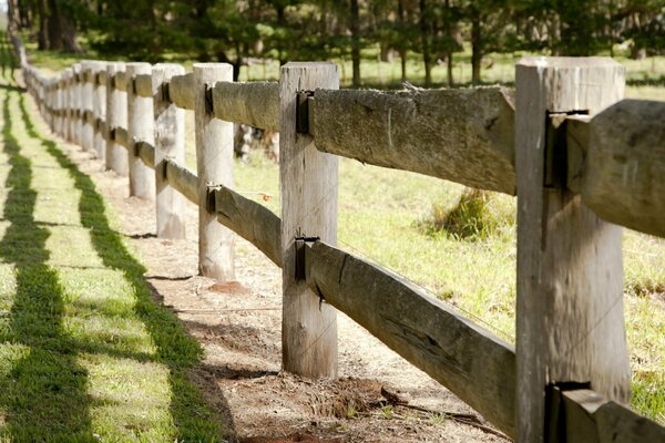 Wooden fence on a green field