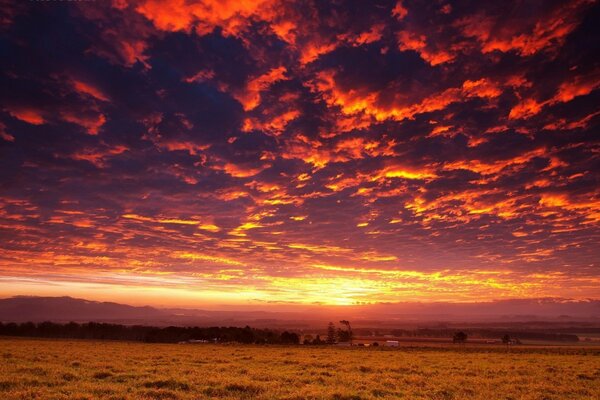 Paysage avec coucher de soleil en soirée dans le champ