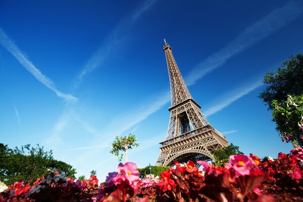 Eiffel Tower against a clear blue sky