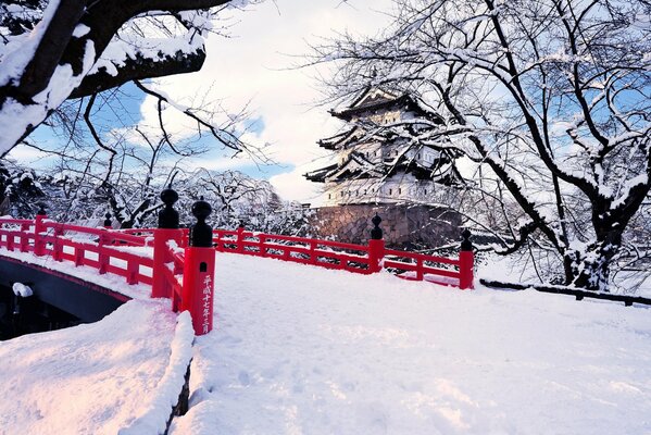 Snowy Japan and sakura trees