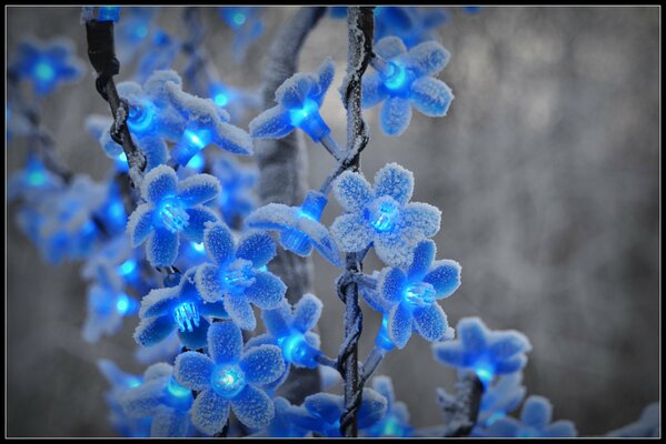 Guirnalda con linternas en forma de flores en invierno en la nieve