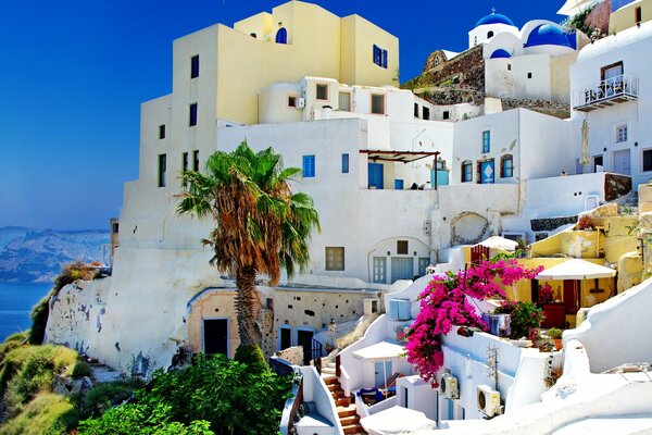 Panorama of Greece - white stone houses and palm trees
