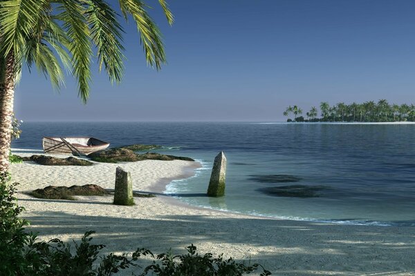 Palm trees on the shore of the island