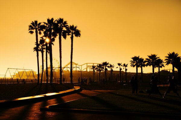 Stany Zjednoczone. Palmy w Los Angeles o zachodzie słońca