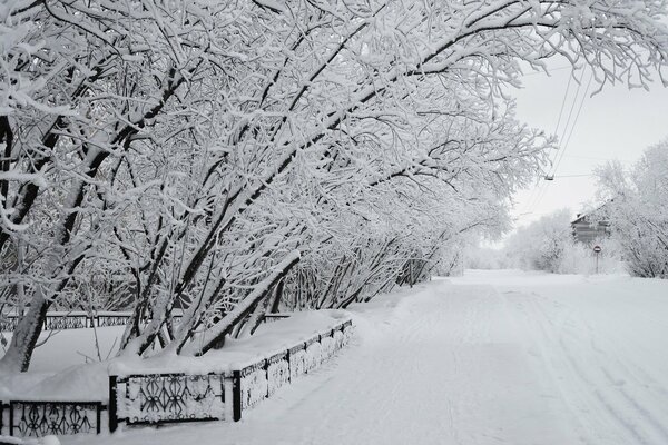 Snowy winter on the city street