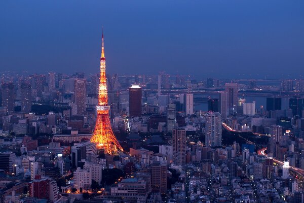 Overnight in Tokyo. Panorama