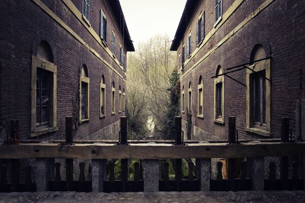 View of the forest through two houses