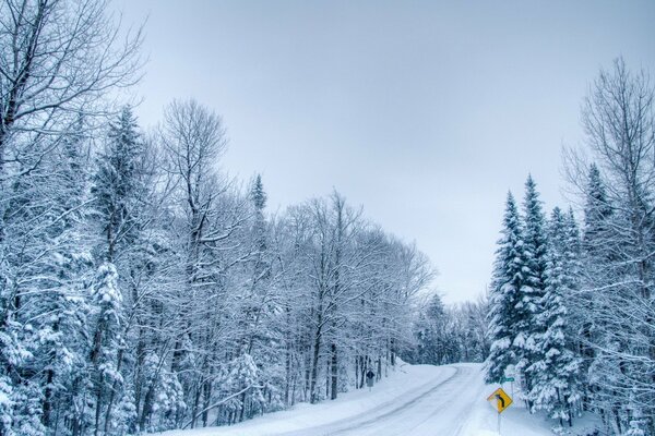 Route d hiver nuageux avec du givre sur les arbres