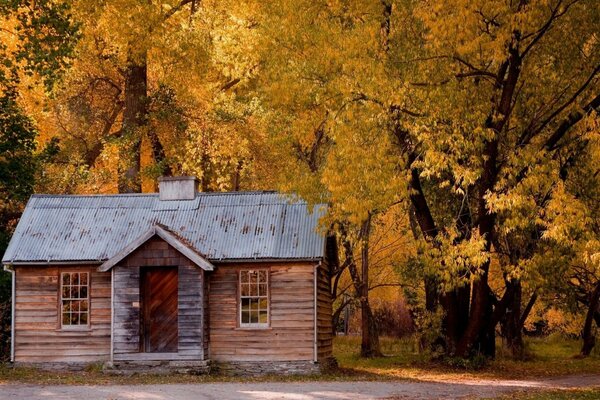 Casa de otoño en el bosque con hojas amarillas