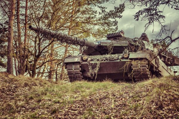 В военные годы в лесу танк