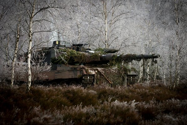 Disguised tank in autumn fox