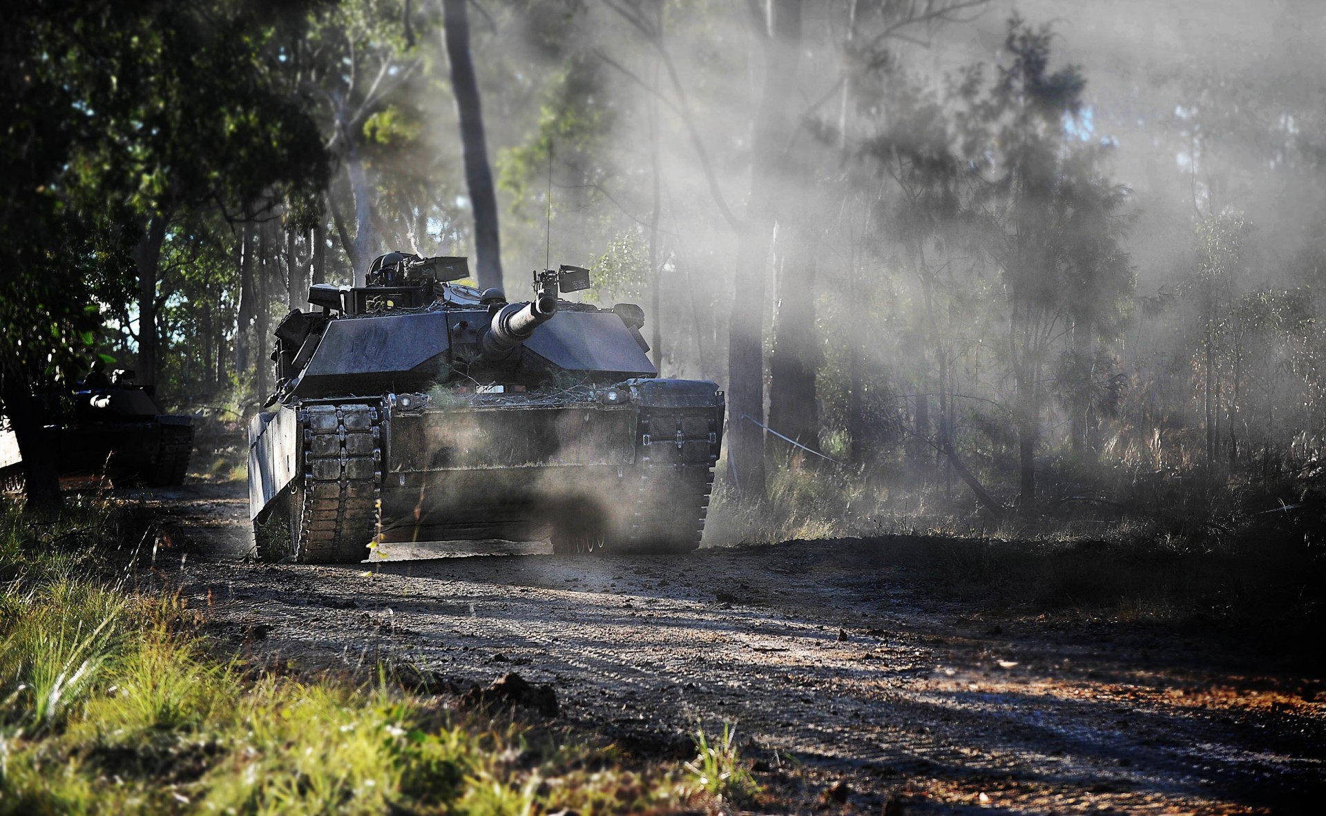 tank usa wald militärische ausrüstung