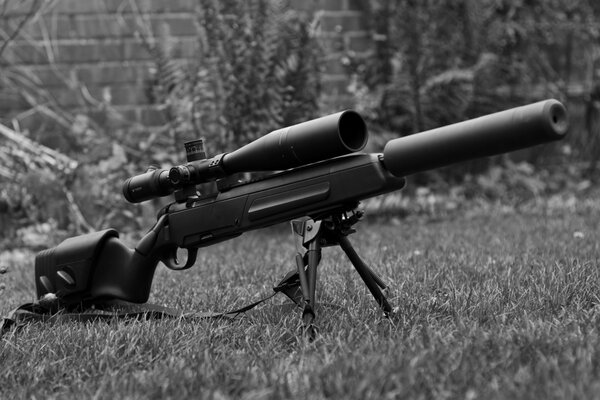 Un rifle de francotirador es difícil de ver en la hierba