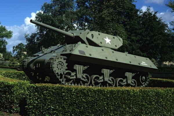 Британский пехотный танк на траве