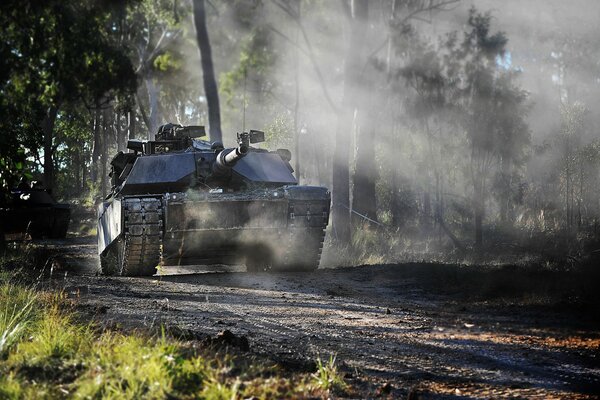 Military equipment moves through the forest