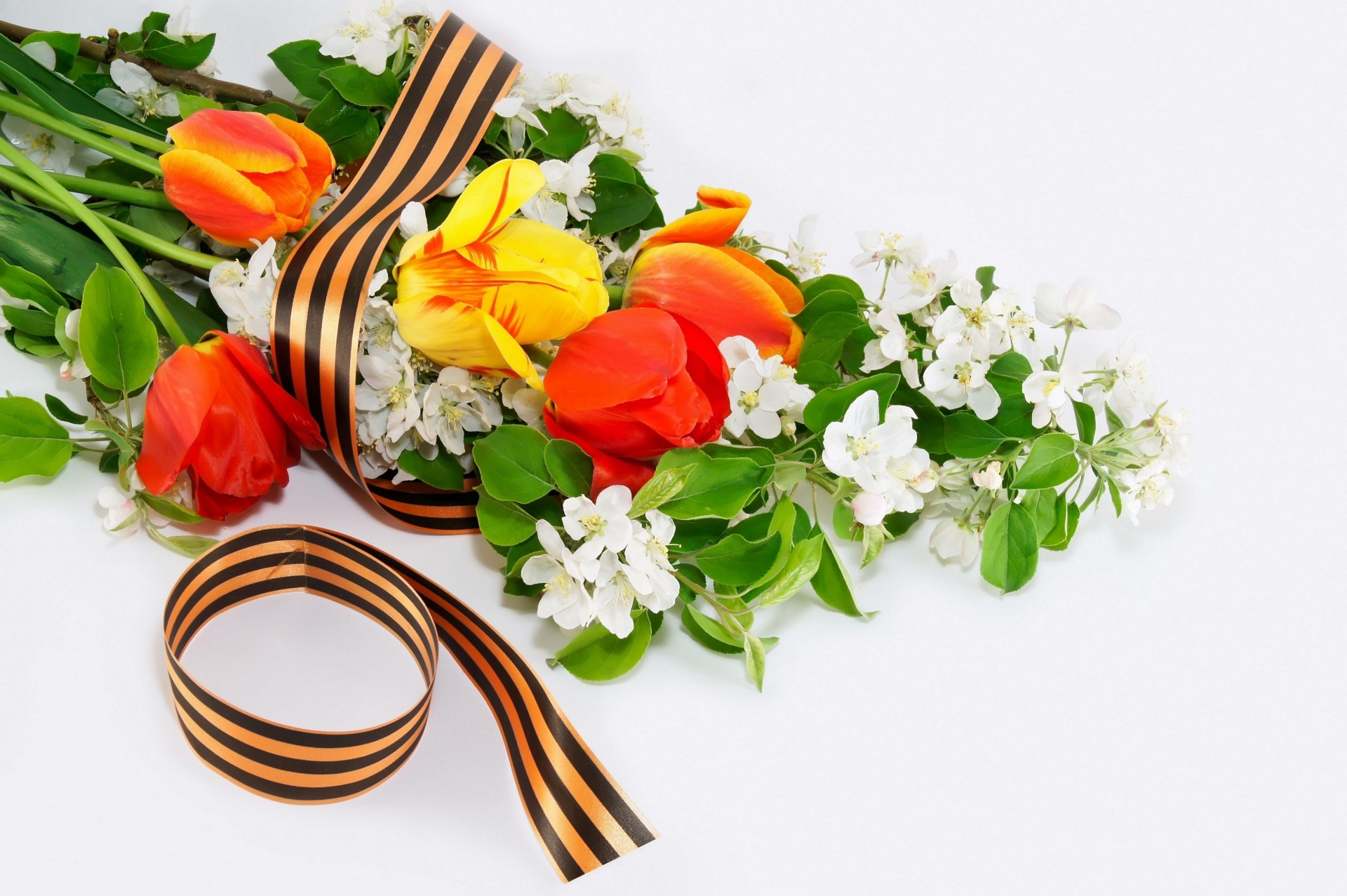 fiori nastro di san giorgio 9 maggio giorno della vittoria tulipani