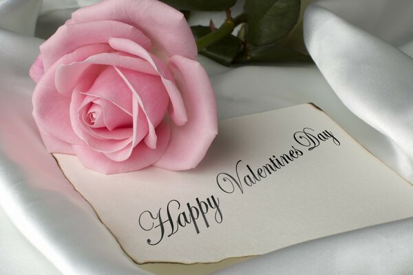 С днем святого Валентина розовая роза
