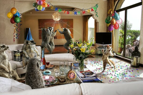 Смешной праздник животных на день рождения