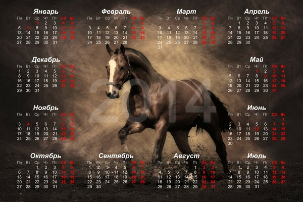 Calendario 2014 del caballo