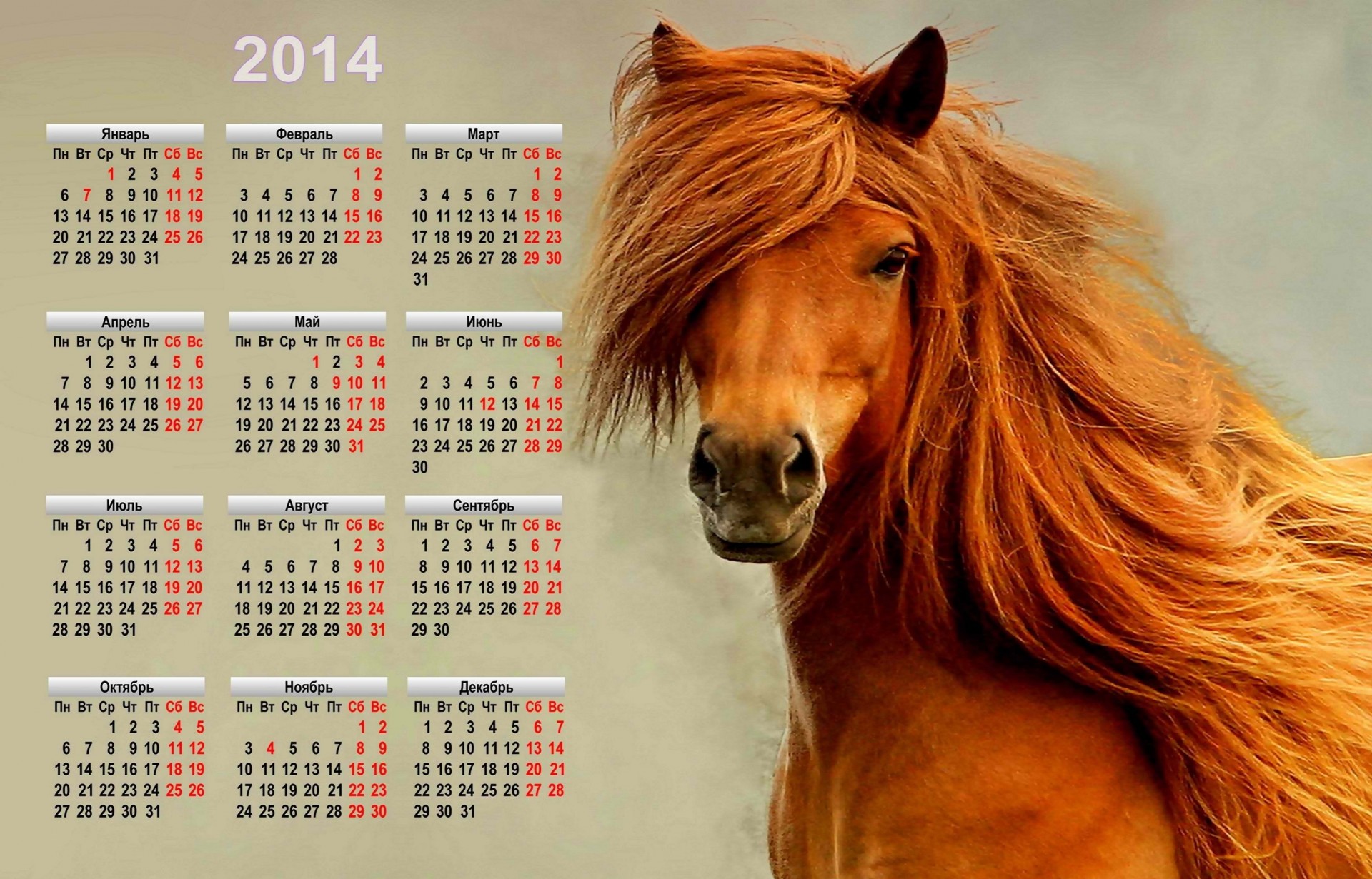 año nuevo calendario vacaciones símbolo caballo 2014