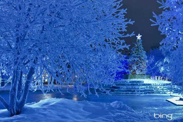 Синий, ледяной вечер в сверкающем снегу