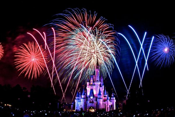 Disney Castle in the firework lights