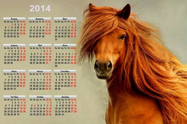 Symbol kalendarza 2014