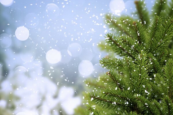 Flocons de neige blancs tombant sur un arbre de Noël vert