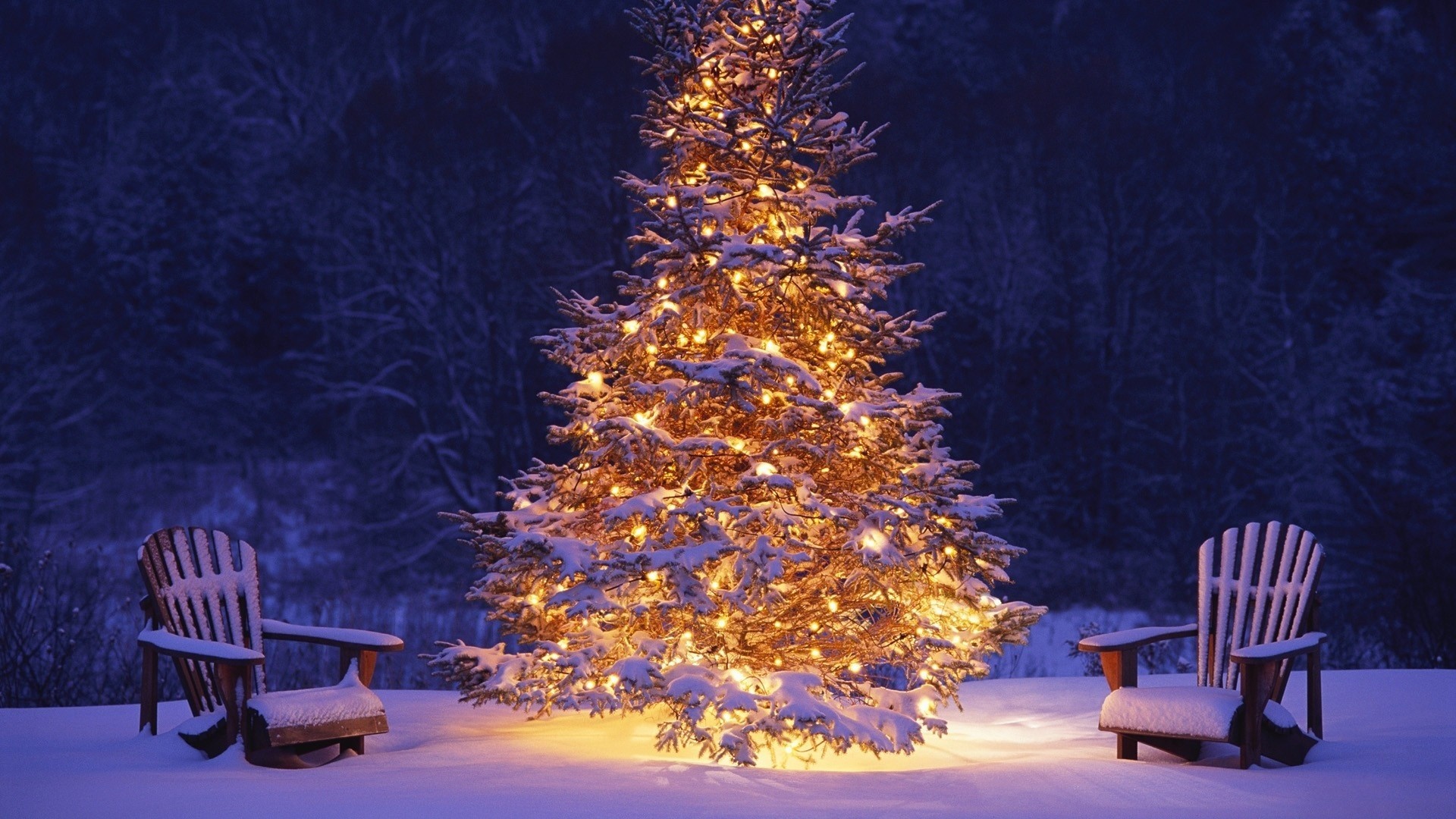 árbol de navidad luces navidad año nuevo nieve silla