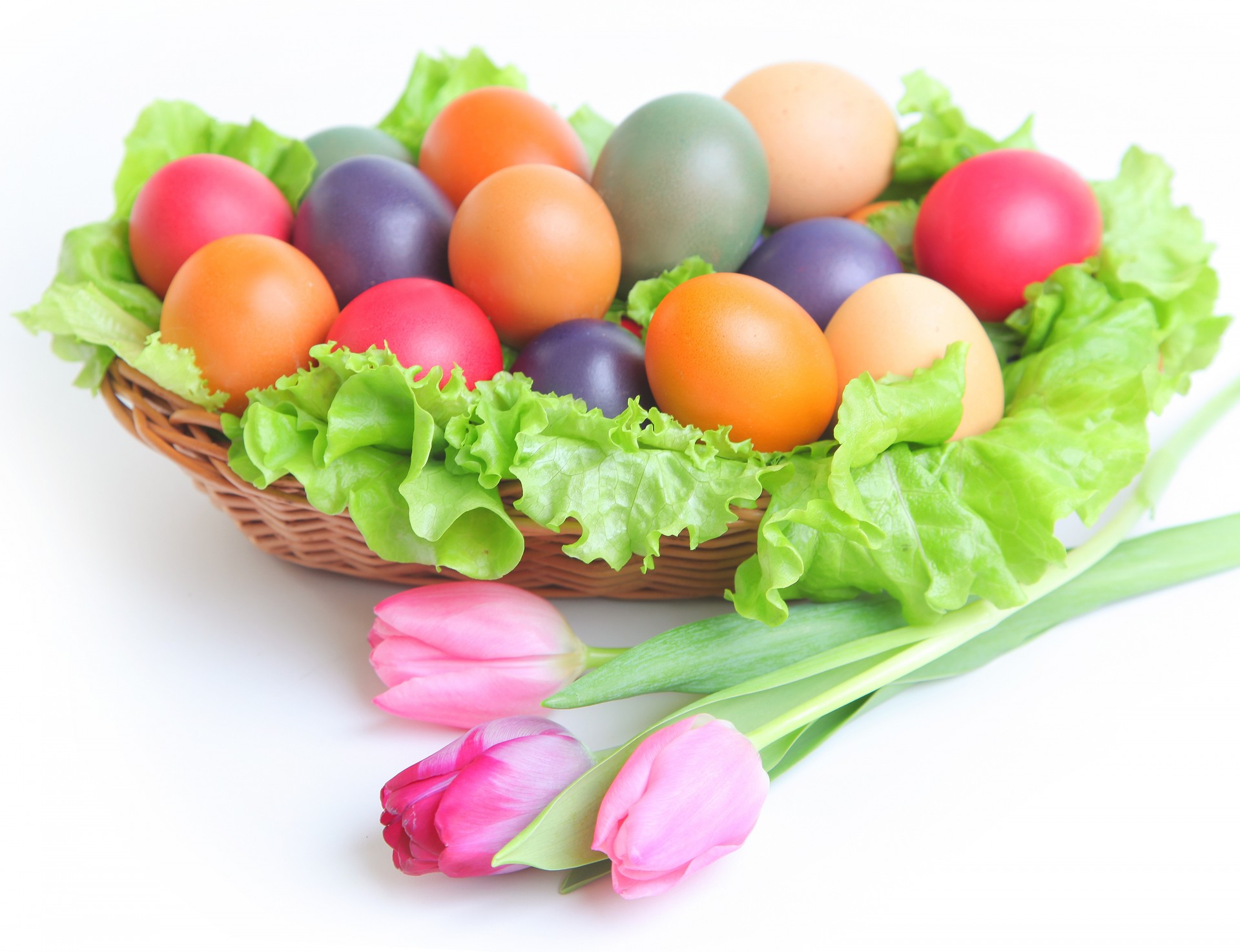 pâques oeufs fleurs tulipes