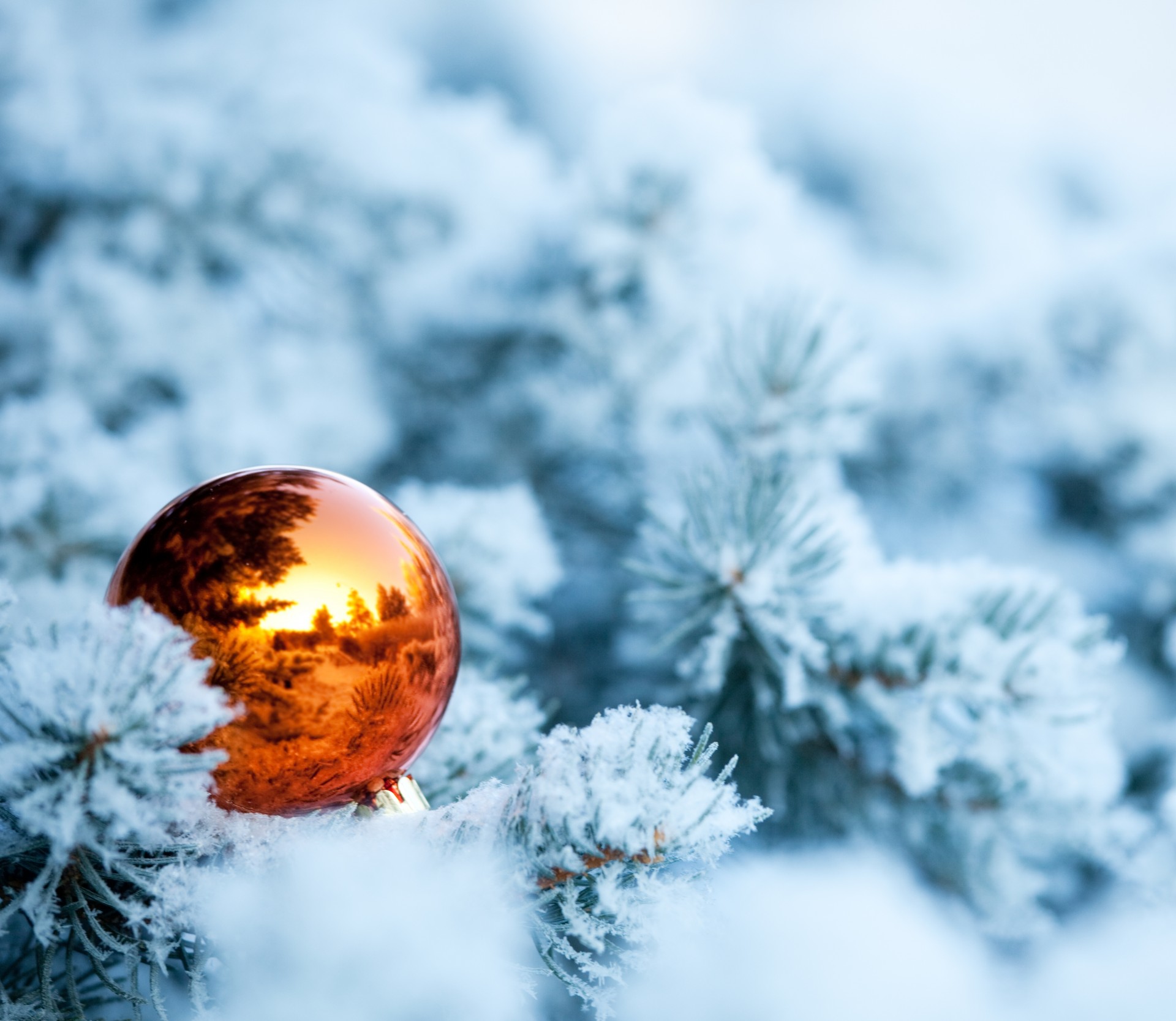 weihnachtsbaum tanne kugel schnee äste winter