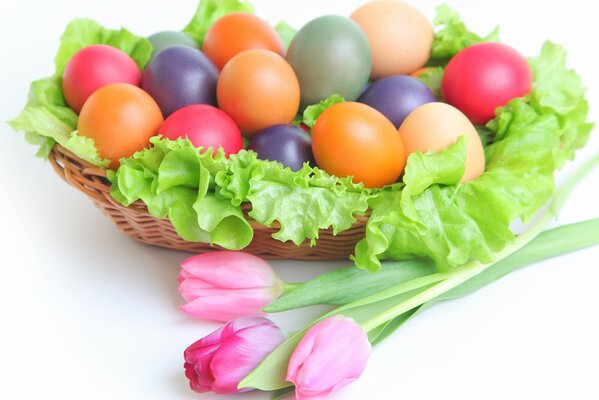 Ambiance de Pâques, avec des tulipes fraîches