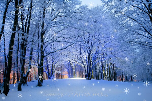 Bosque de invierno con copos de nieve brillantes