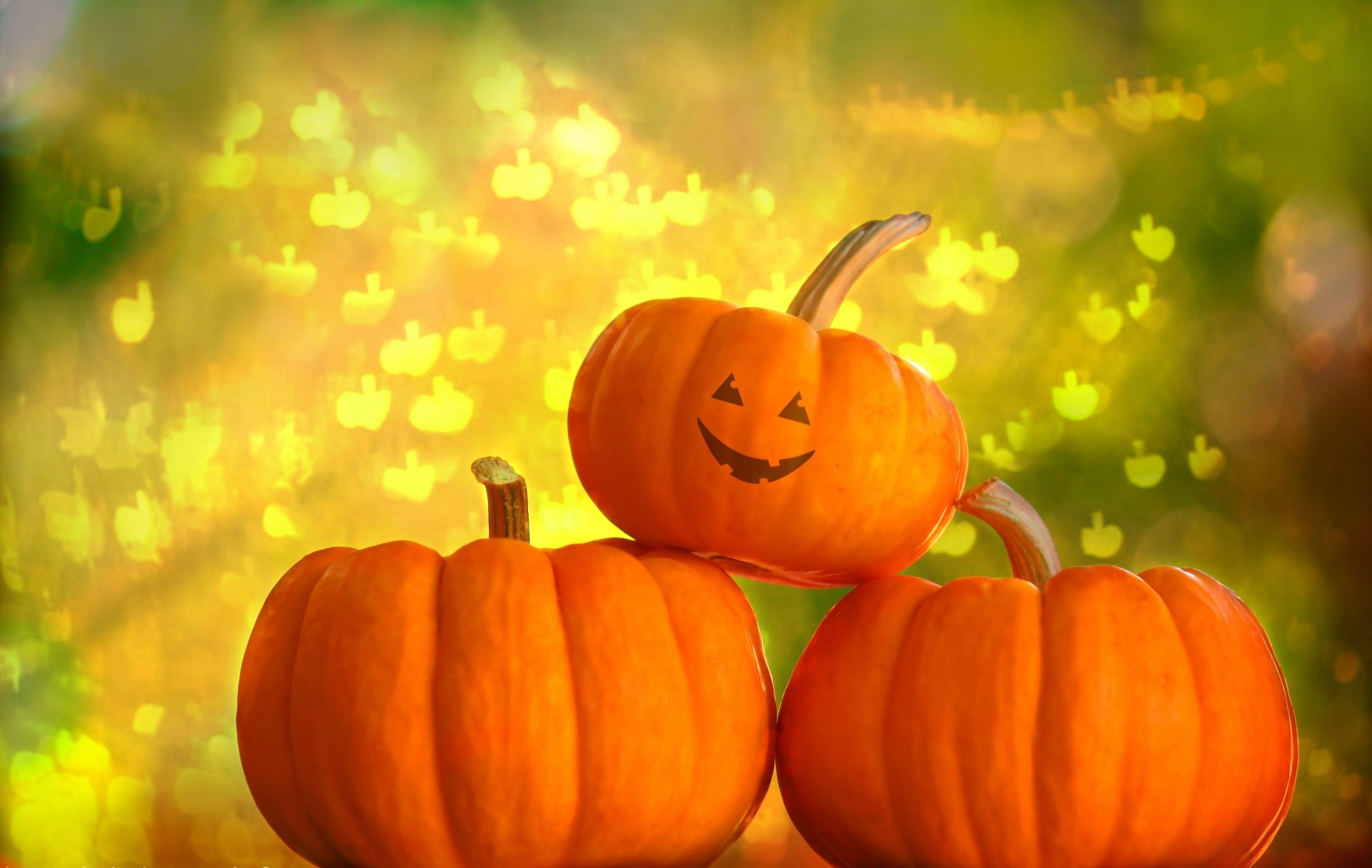 pumpkin halloween background