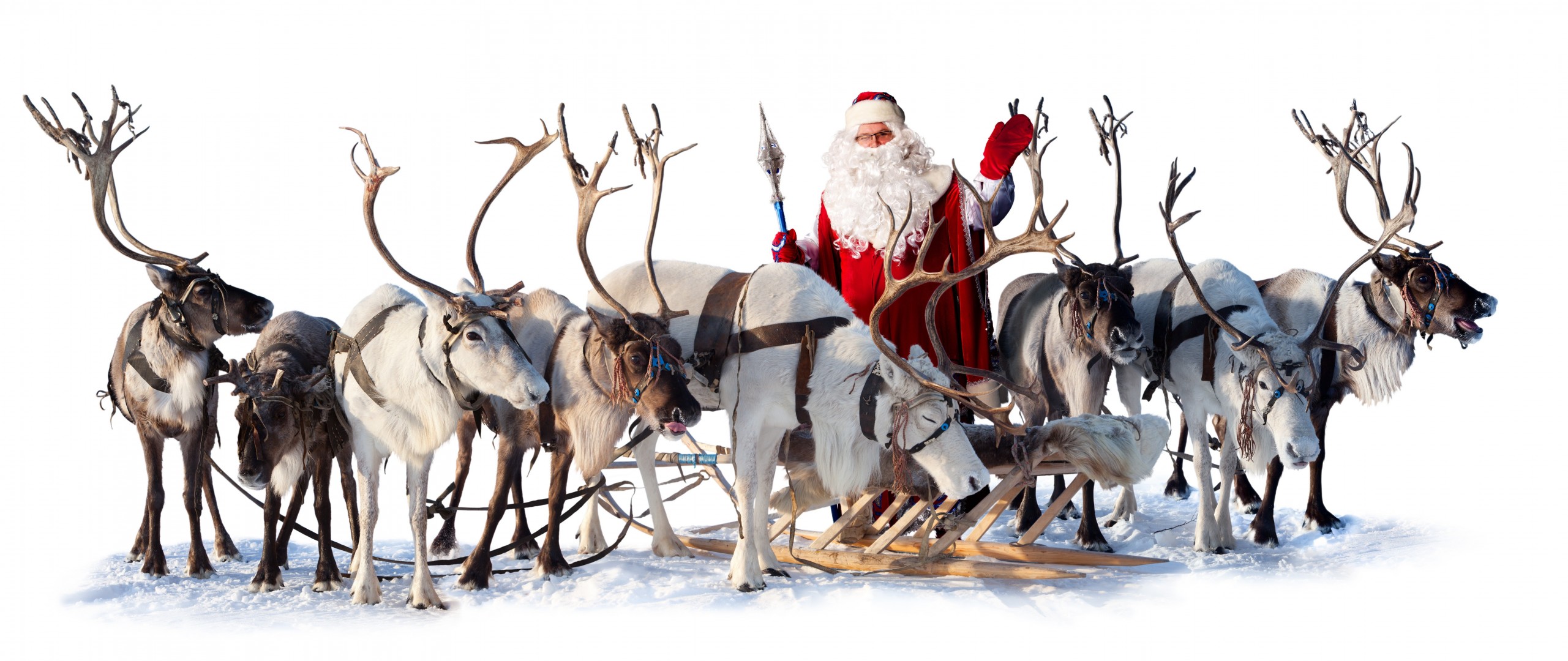 cerf père noël traîneau