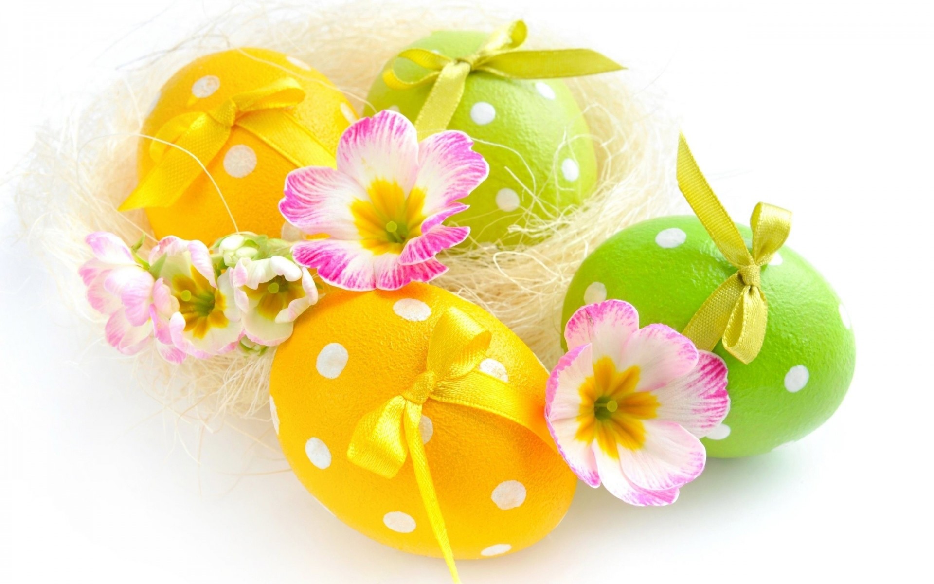 easter white background eggs flower