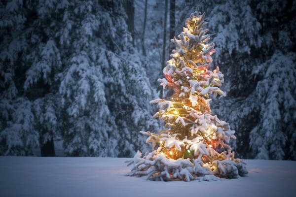 A Christmas tree decorated with garlands in the winter forest