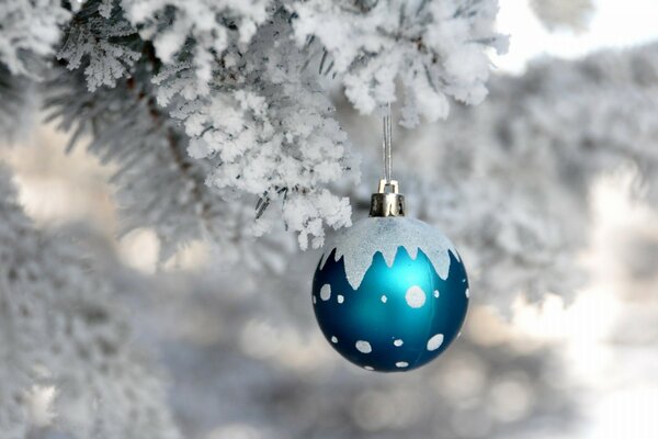 Palla di Capodanno su un ramo di abete innevato