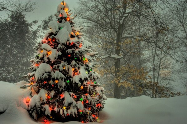 Arbre de Noël enneigé décoré avec une guirlande. Fabuleusement belle