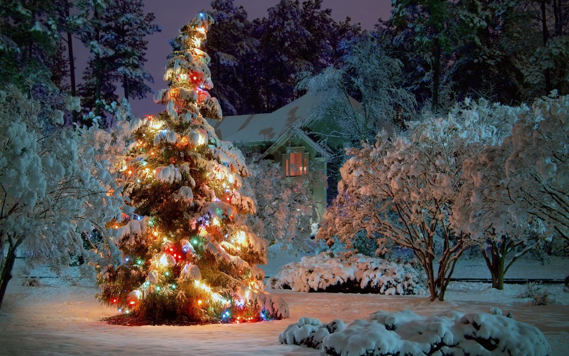 árbol de navidad árboles nieve año nuevo