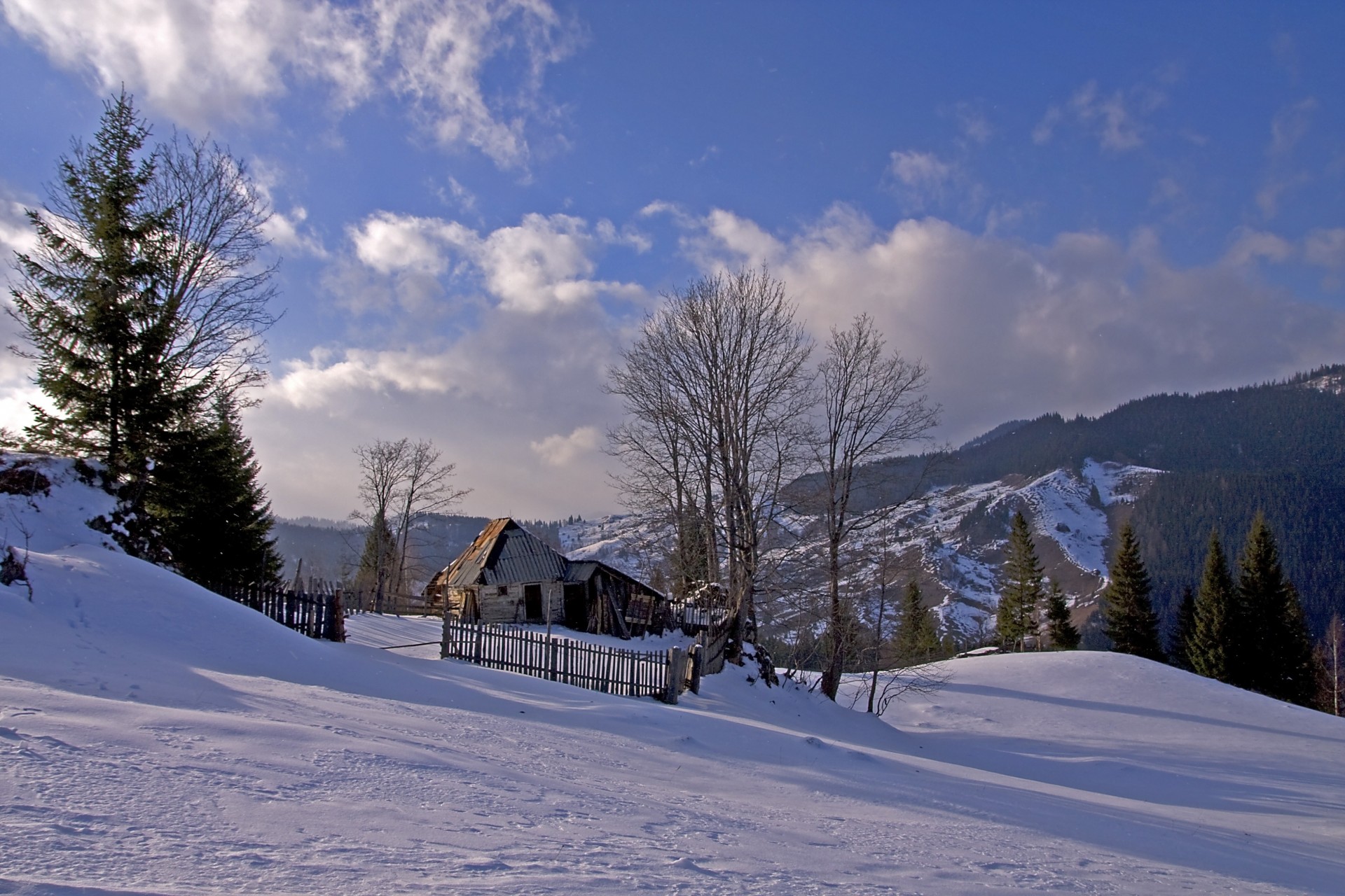 paesaggio alberi casa neve montagna inverno romania