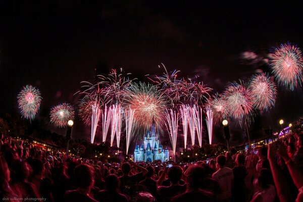 Wild night fireworks in the Disney Kingdom